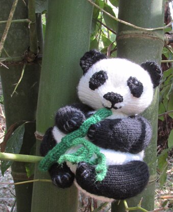 Panda Tea Cosy and Toy