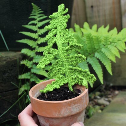 Crochet Fern