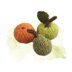 Fruit & Vegetables