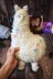 Alpaca with embroidery toy