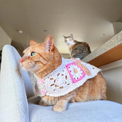 Daisy Cat Sweater