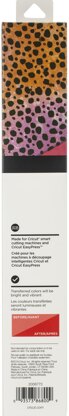 Cricut Infusible Ink Transfer Sheet 12"X12" 2/Pkg - Rainbow Cheetah