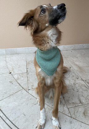 Cat or Croissant?' Dog Bandana