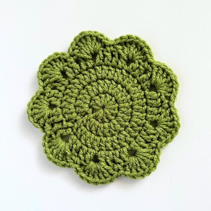 Succulent Plant Coasters