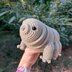 Tardigrade or Water Bear