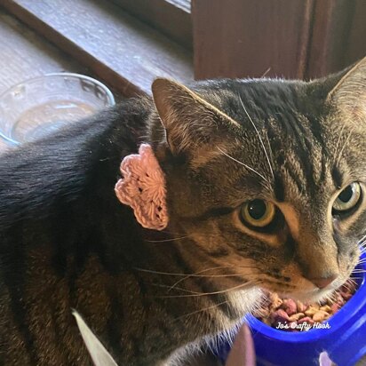 Flower Pet Collar