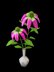 Crochet Echinacea/Cone flowers