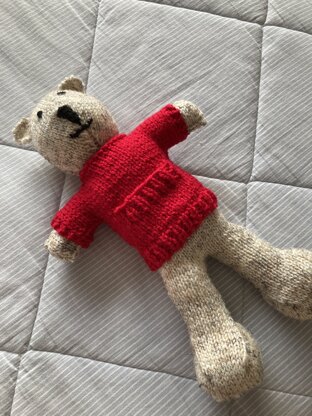 Ted bear with jumper