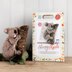 The Crafty Kit Company Sleepy Koala Needle Felting Kit - 20cm