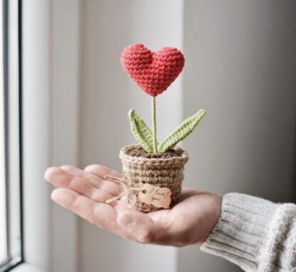 Valentine’s Day Heart Plant