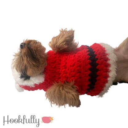 Minnie's Santa Dog Sweater