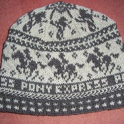 Pony Express beanie