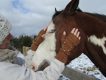 Horse Lover's Mitts