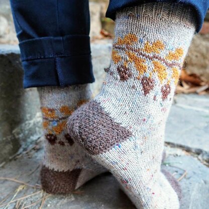 Squirrel Nest Socks