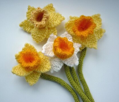 Daffodil Knitting pattern by Julie Taylor, Knitting Patterns