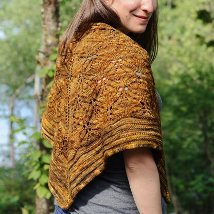 Snakes and Spiders Shawl