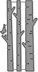 Lawn Fawn Lawn Cuts Custom Craft Die - Birch Trees