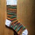 Toasty Explorer Socks