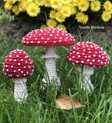 Fly agaric mushrooms