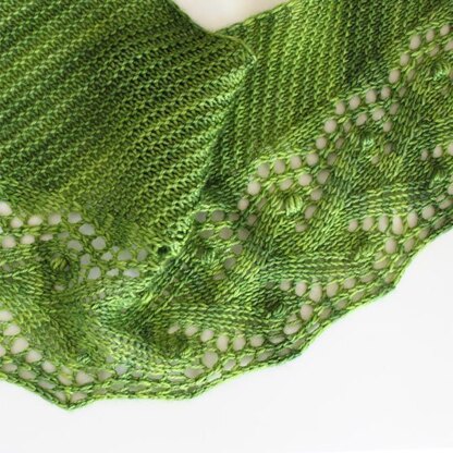 Herb Garden Shawl