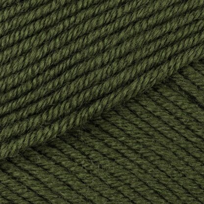 Olive (312)