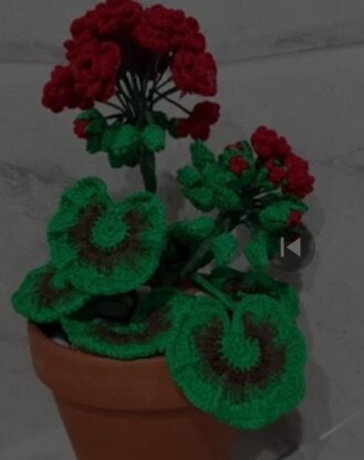 Crochet Geranium Flowers