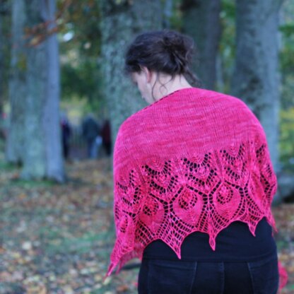 Ruth's Shawl