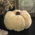 The Great Cabled Pumpkin