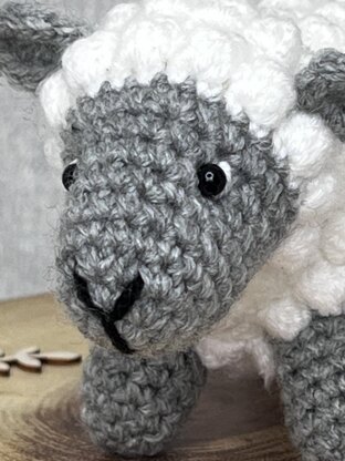 Minty the Sheep