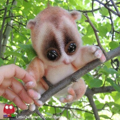 109 Slow Loris animal