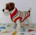 Dog Chunky Stripe Button Up Coat