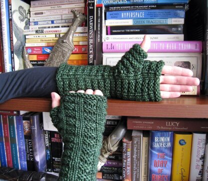 Integral Mitts