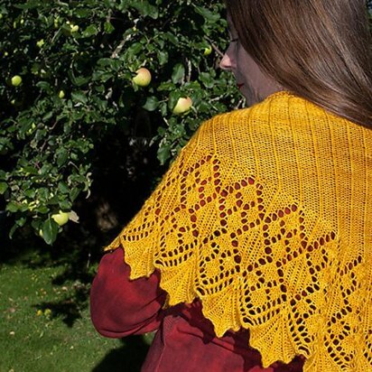 Aurei shawl