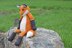 Dreamy Fox