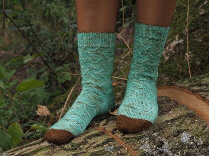 Feathering the Nest Socks