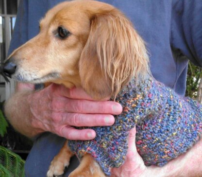 Lena's Cozy Brioche Miniature Dachshund Dog Sweater