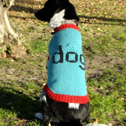 Dog. Sweater - knitting pattern