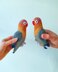 Fischer's Lovebird