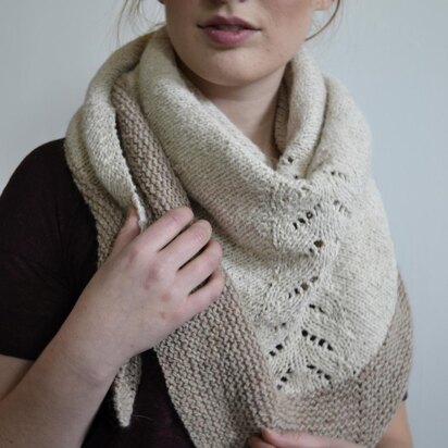 In Like a Lion - knitting pattern