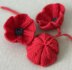 Poppy Flower