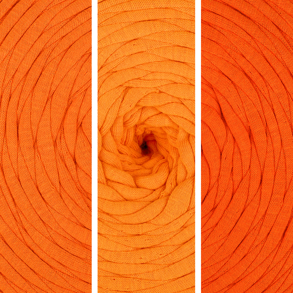 Bold Orange Shades (016)