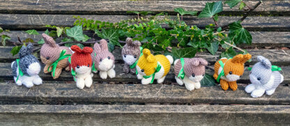 Mini Dutch bunnies