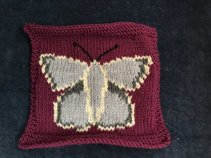 British Butterflies Intarsia Square