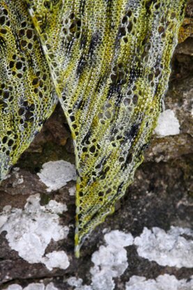 Björkö Shawl