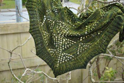 Skein of geese shawl