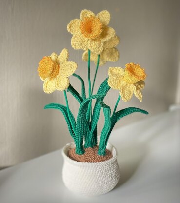 Daffodil flower with pot