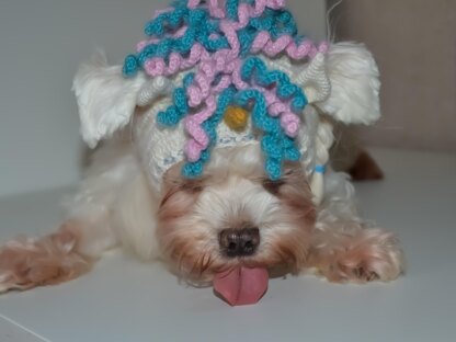 Unicorn dog hood, Crochet Pattern PDF, Size: XS for small dog