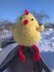 Chick toy knitting pattern