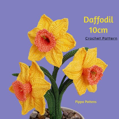 Daffodil