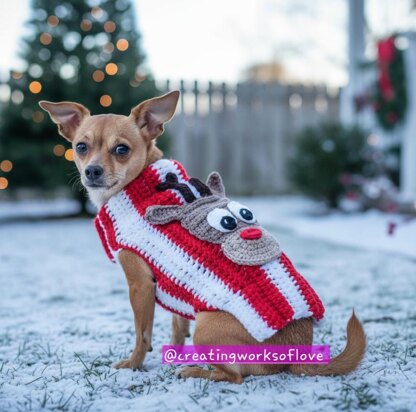 X-Small & Small Dog Christmas Sweater